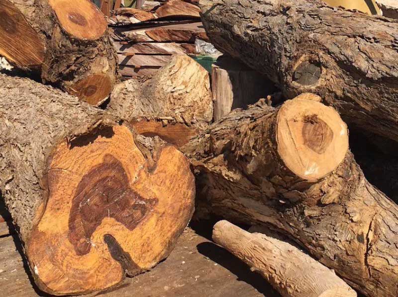 Indian Rosewood